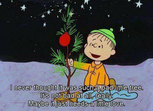Christmas - tree needs love